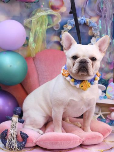 20240810ゼロちゃん